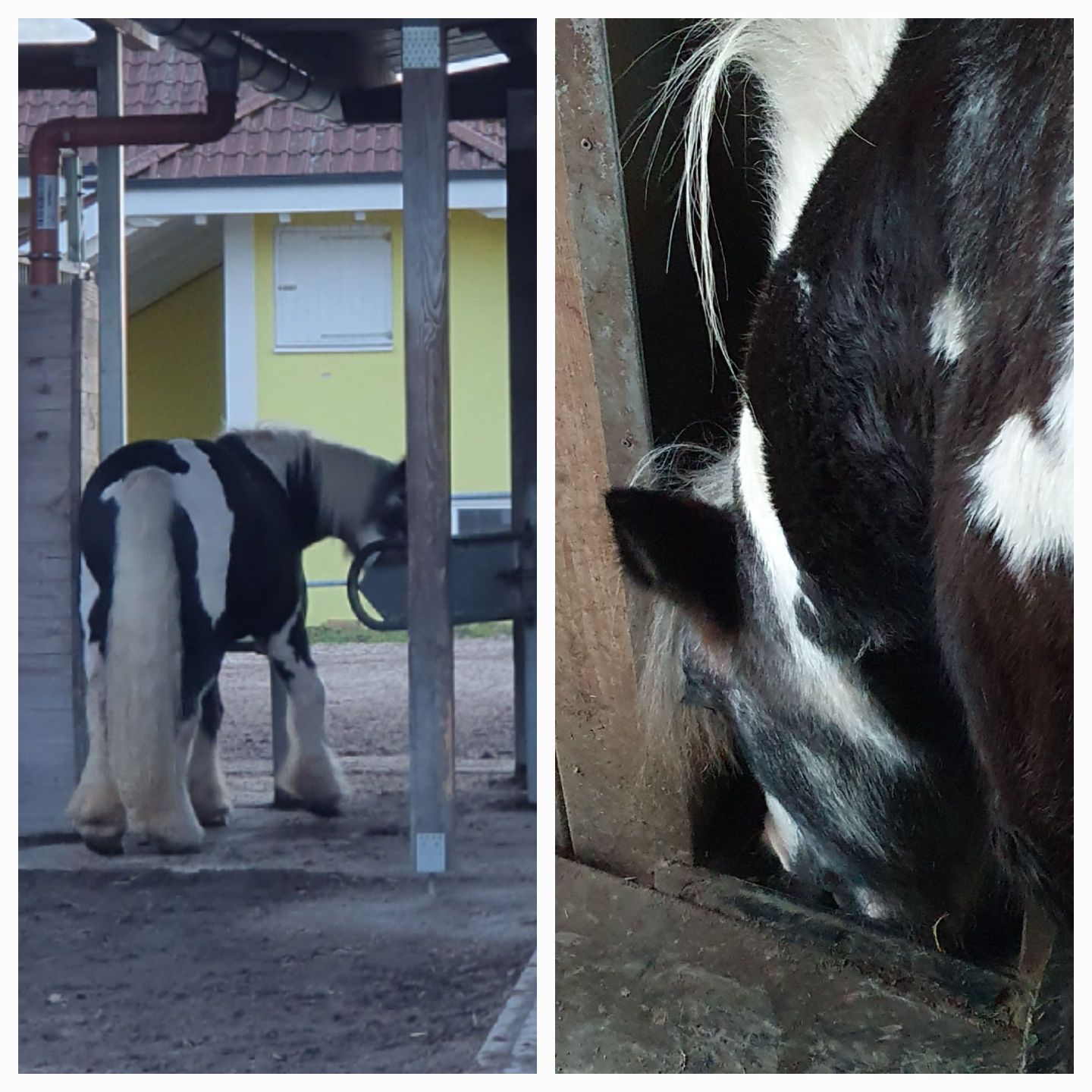 2023 11 November 580